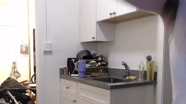 Snapshot of fern4ever chatting on 01-25-25, 03:19 fern4ever online show from 01-25-25, 03:19