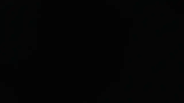 Liaroberts1 online show from 01-24-25, 12:10