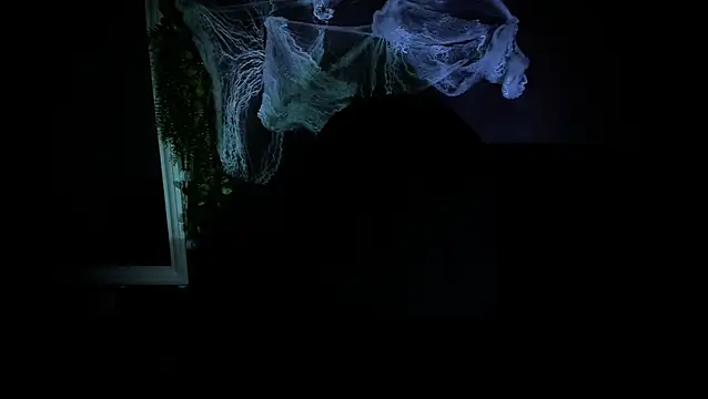 Snapshot of newjeff chatting on 11-05-25, 06:08 newjeff online show from 11-05-25, 06:08