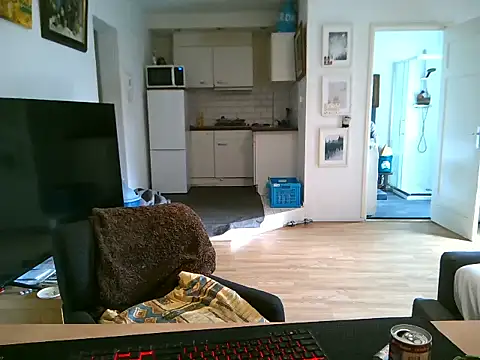 mihaimichael online show from 05-11-26, 11:49