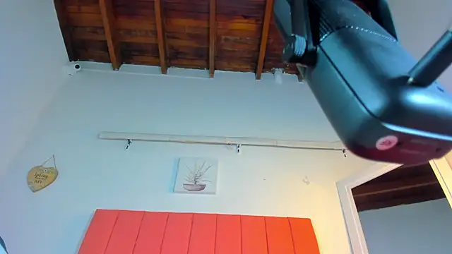 valen rose0 online show from 11-02-25, 12:07