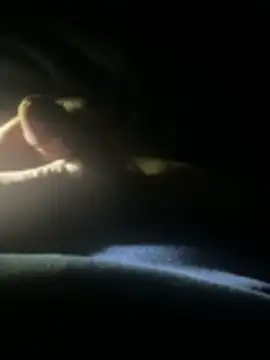 joeycbigcock online show from 04-22-26, 02:25