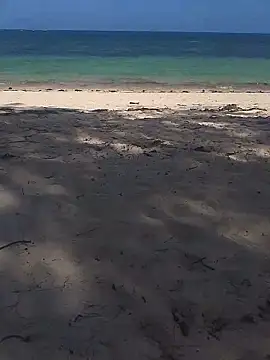 blacks couples online show from 02-02-26, 12:26