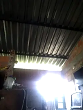 natally ross21 online show from 04-17-26, 11:57