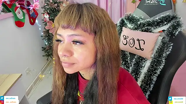 zoesullivan online show from 11-23-25, 10:04