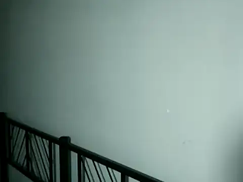 100Tauros online show from 11-13-25, 10:30