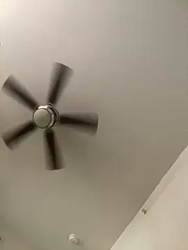 goldbuni online show from 12-03-24, 02:49