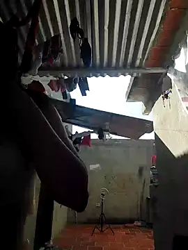 room 24funn online show from 01-23-25, 08:24