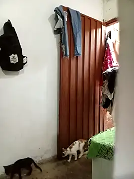 Snapshot of Andreita_95 chatting on 11-13-25, 11:31 Andreita 95 online show from 11-13-25, 11:31