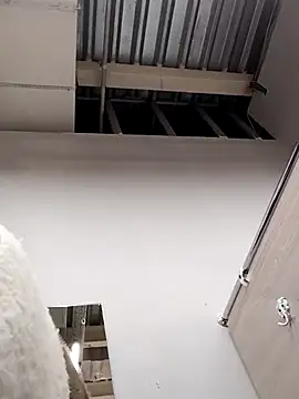 Morphine 666 online show from 12-14-24, 06:13