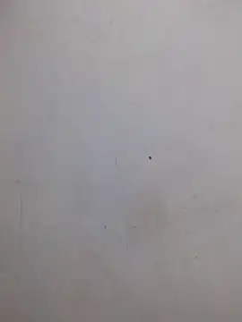 Snapshot of AmnionicDemeanor chatting on 10-31-25, 04:24 AmnionicDemeanor online show from 10-31-25, 04:24