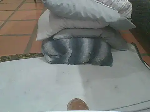 MrPatrick777 online show from 02-04-26, 03:56