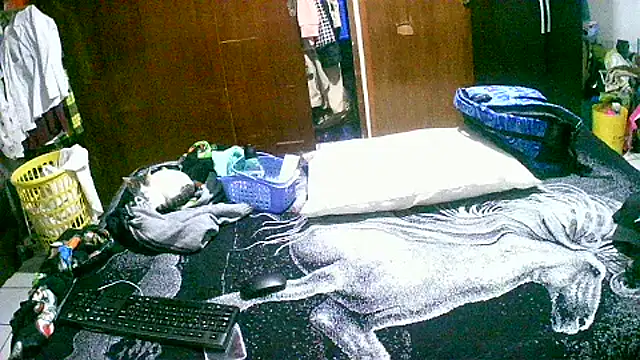 jperezofficial1 online show from 09-13-25, 09:42