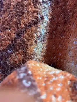 Snapshot of king_cum_ chatting on 11-08-25, 01:17 king cum online show from 11-08-25, 01:17