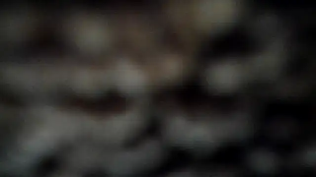 leatherz69 online show from 03-07-25, 04:02