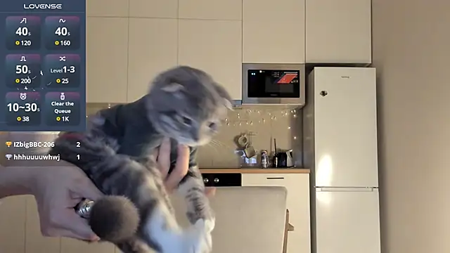 Snapshot of fairy_di chatting on 12-23-24, 12:46 fairy di online show from 12-23-24, 12:46