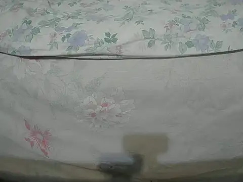 Tiger202441 online show from 12-16-24, 10:24