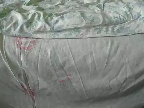 Tiger202441 online show from 12-18-24, 10:08