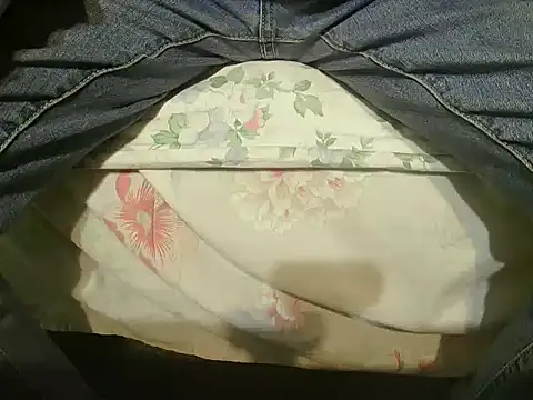 Tiger202441 online show from 12-25-24, 05:47