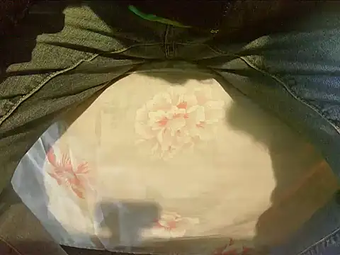 Tiger202441 online show from 12-30-24, 09:48