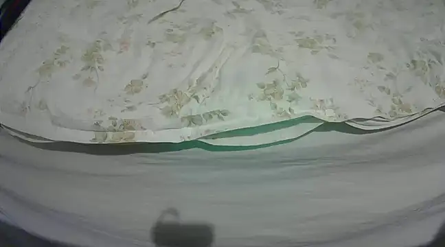 Tiger202441 online show from 03-04-25, 09:32