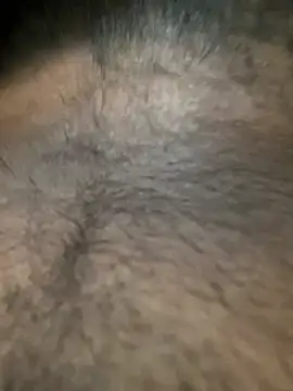 slblackboy12 online show from 03-29-26, 08:14