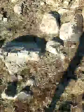 murokkk31 online show from 12-21-24, 08:39