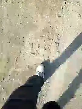 murokkk31 online show from 12-31-24, 11:20