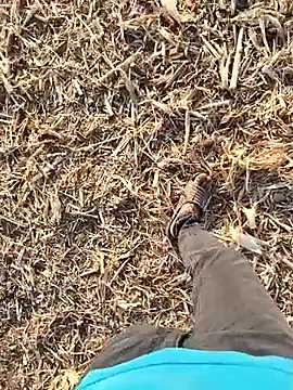 murokkk31 online show from 09-30-25, 01:49