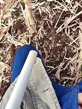 murokkk31 online show from 11-25-25, 07:41