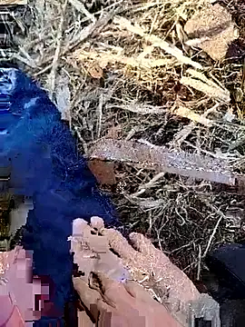 murokkk31 online show from 11-30-25, 06:06