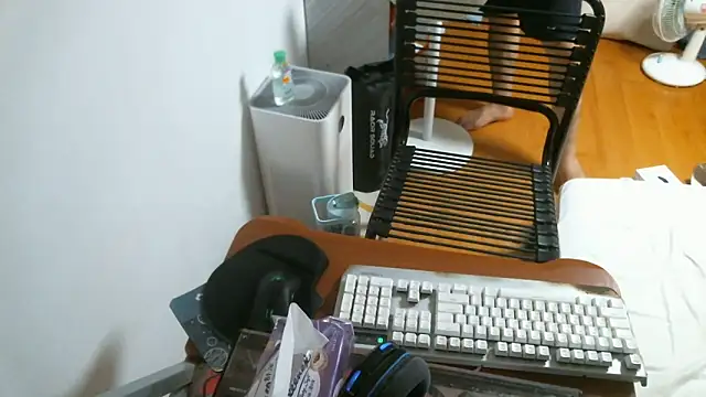 Snapshot of Stellan_0412 chatting on 02-13-26, 05:31 Stellan 0412 online show from 02-13-26, 05:31