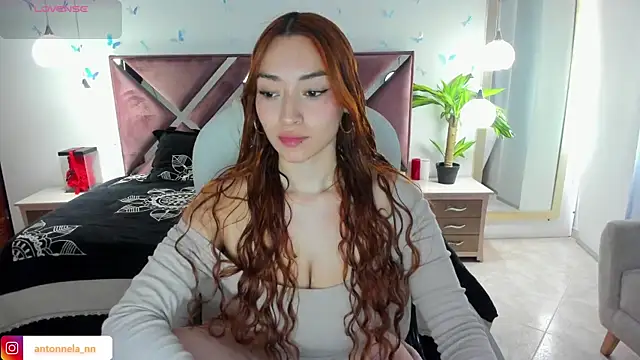  Antonnela  online show from 02-04-26, 08:03