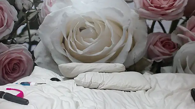 Sexysilverfoxxx online show from 12-03-24, 04:03