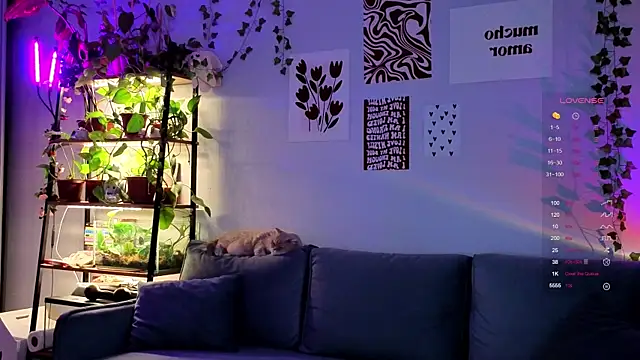 Your Corvus online show from 12-05-25, 09:51