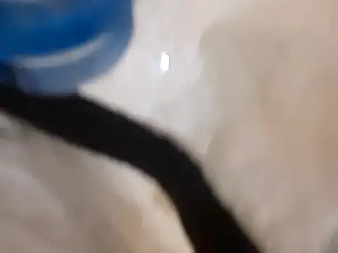 pedrodavid  online show from 03-14-25, 12:10