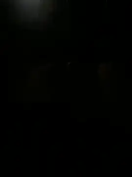 Jsp833 online show from 04-17-26, 05:38