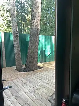 twist699 online show from 11-08-25, 06:40