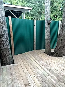 twist699 online show from 11-11-25, 06:41