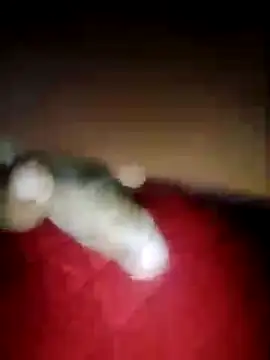 Snapshot of ShivamFactor3 chatting on 12-18-25, 09:54 ShivamFactor3 online show from 12-18-25, 09:54