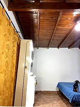 Snapshot of Zaratattoox chatting on 12-01-25, 09:53 Zaratattoox online show from 12-01-25, 09:53