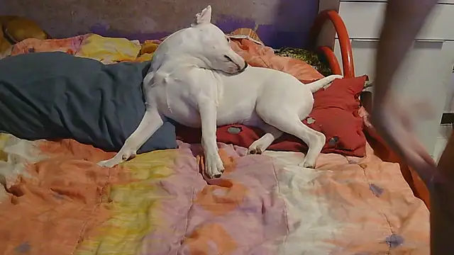 Snapshot of couplemilf2 chatting on 12-06-24, 11:25 couplemilf2 online show from 12-06-24, 11:25