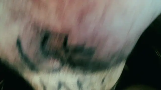 Snapshot of Gigadickman chatting on 01-05-25, 11:44 Gigadickman online show from 01-05-25, 11:44