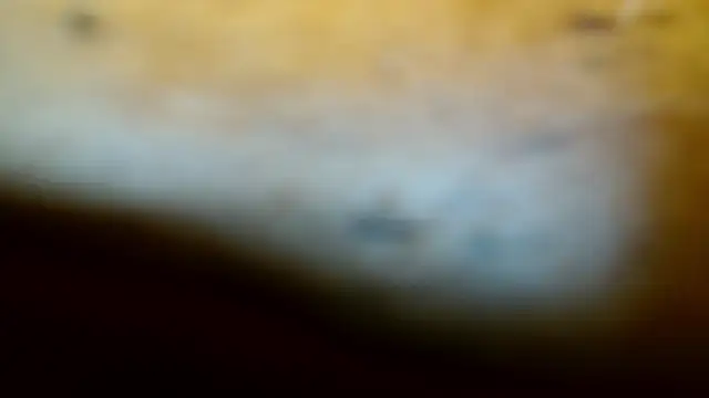 Snapshot of Gigadickman chatting on 02-09-25, 11:57 Gigadickman online show from 02-09-25, 11:57