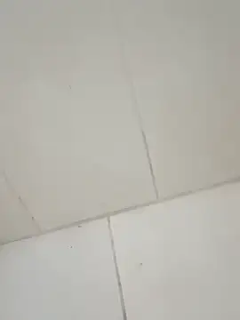 taradobbsafadok online show from 12-01-25, 11:32