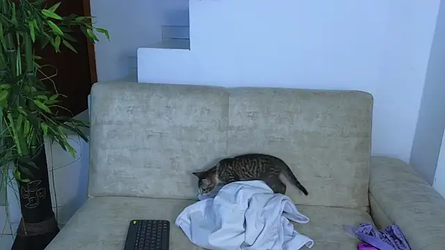 Lorenne Miller online show from 10-22-25, 05:08