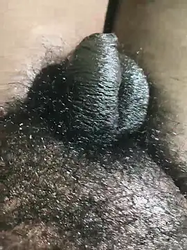 rajrahulovi online show from 02-02-26, 04:49