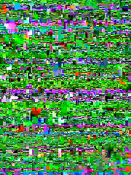 bad-boy-2002 online show from 10-05-25, 02:37