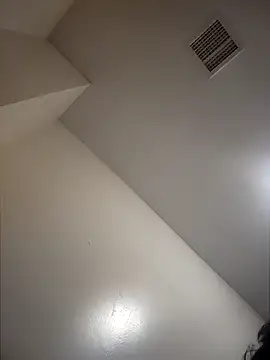 Wildherb244 online show from 12-03-24, 10:29