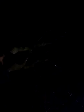 Wildherb244 online show from 12-04-24, 01:36